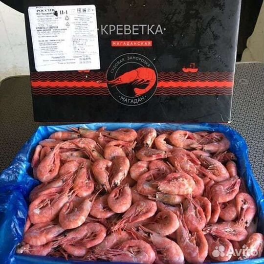 Креветка (северная, магаданская)