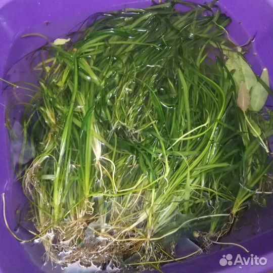 Украшение для аквариума