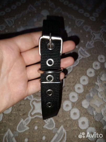 Ошейник для собак