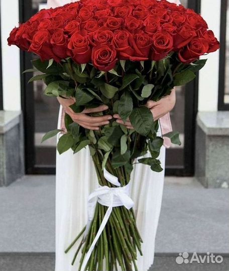 Розы Высокие 150см 160см 170см 180см 190см 2м