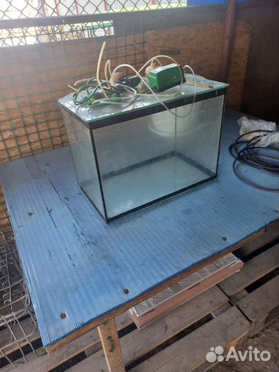Аквариум