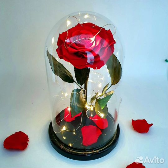 Розы в колбе
