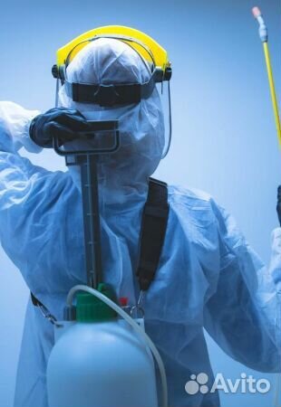 Дезинфекция. Травля тараканов, клопов