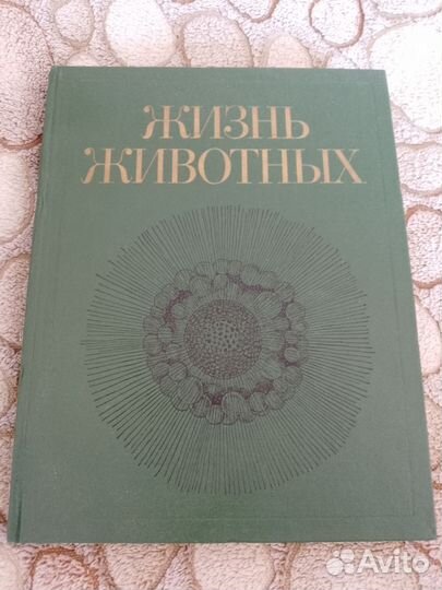Жизнь животных