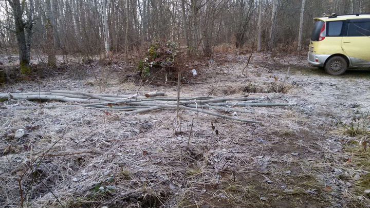 Дом 20 м² на участке 6 сот.