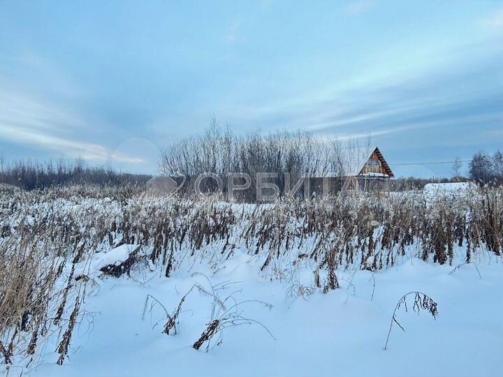 Участок 36 сот. (СНТ, ДНП)