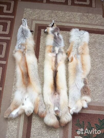 Лисья шкура