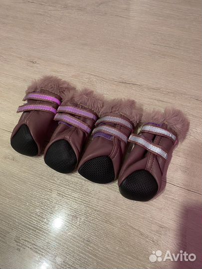 Одежда для собак