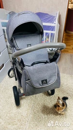Коляска 2 в 1 adamex chantal