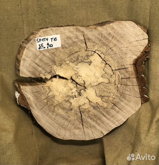 Спил карагача