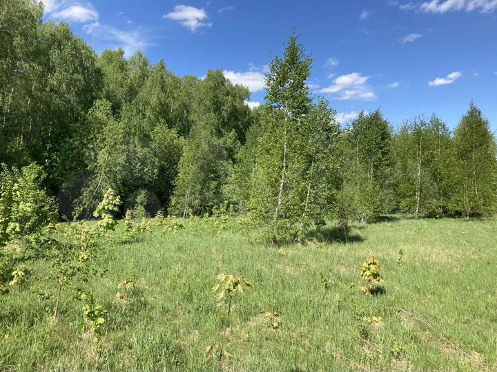 Участок 13,8 сот. (ИЖС)