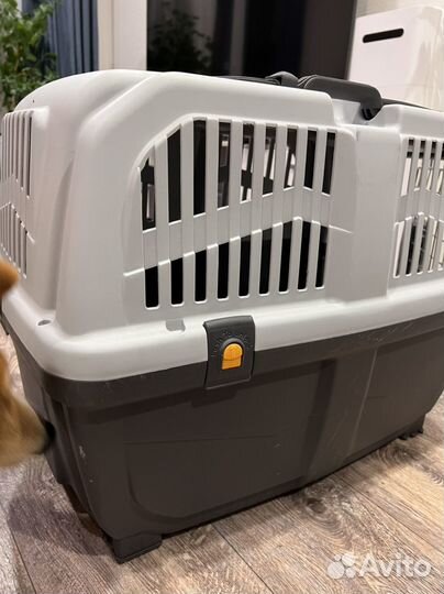 Переноска для собак