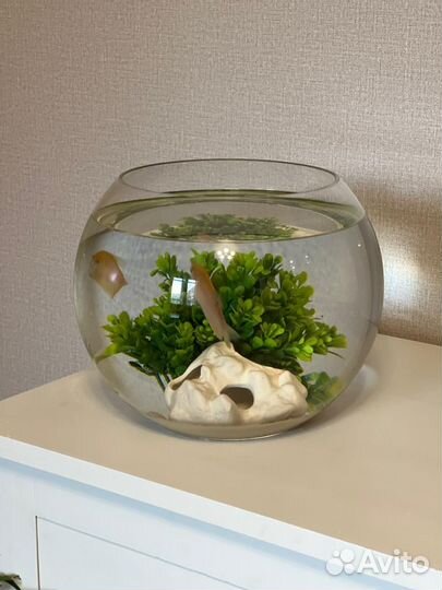 Продам аквариум с рыбками