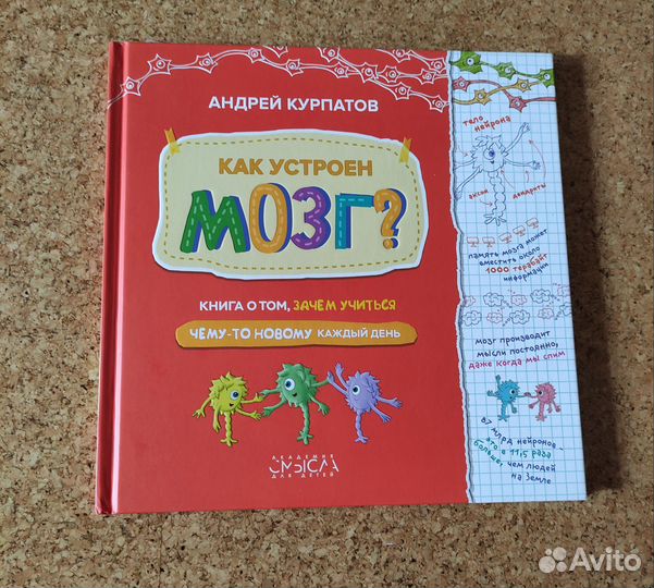 Как устроен Мозг. Курпатов Андрей