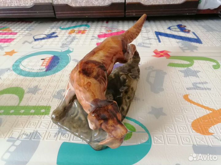 Собака с добычей