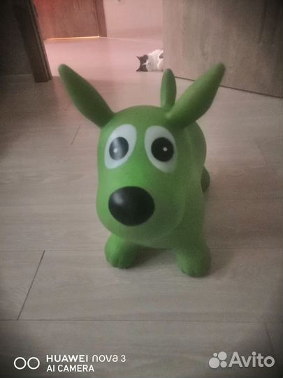 Собака попрыгун