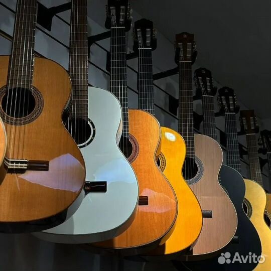 Новые гитары для музыкальной школы