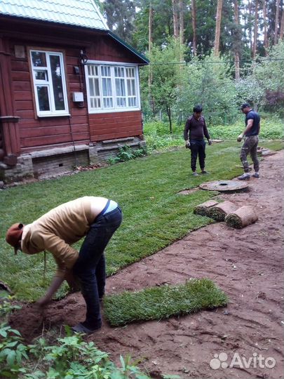 Рулонный газон под ключ