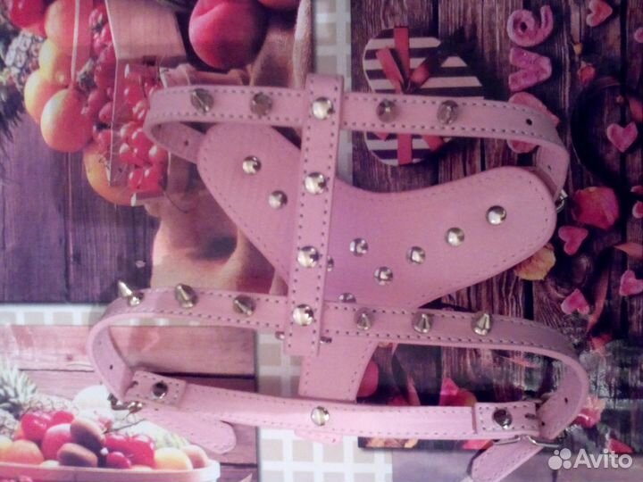 Кожаная шлейка для маленьких собак