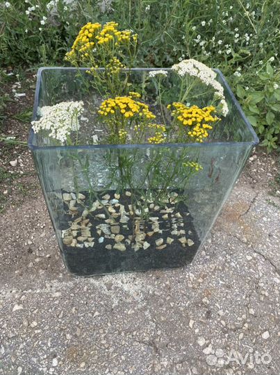 Стеклянная колба / ваза / из толстого стекла