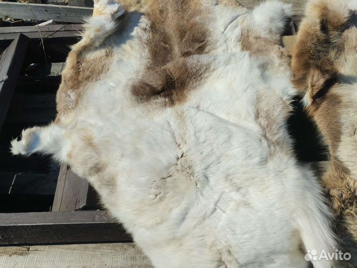 Оленья шкура