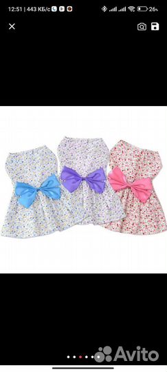 Одежда для собак