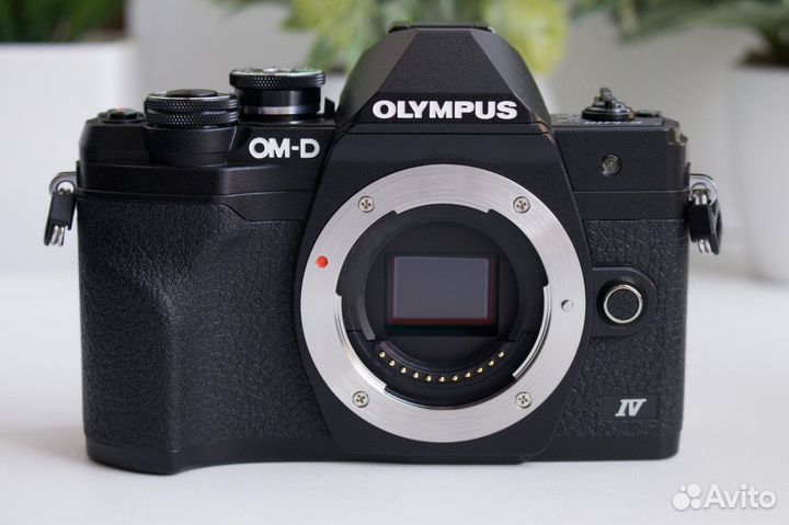 Olympus OM-D E-M10 Mark IV Body