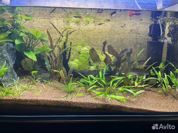 Продам аквариум