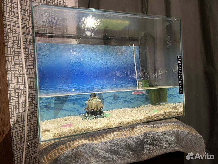 Аквариум 60л с рыбками