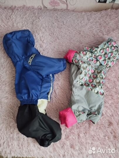 Одежда для средних собак