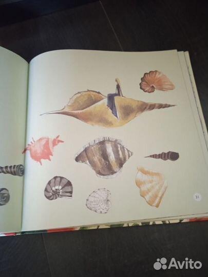 Фейные сказки