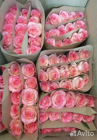 Цветы оптом и в розницу