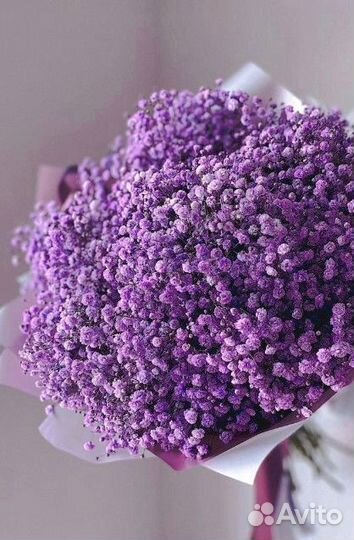 Гипсофила букет