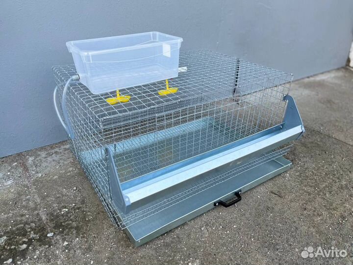 Клетка для перепелов на 30 голов