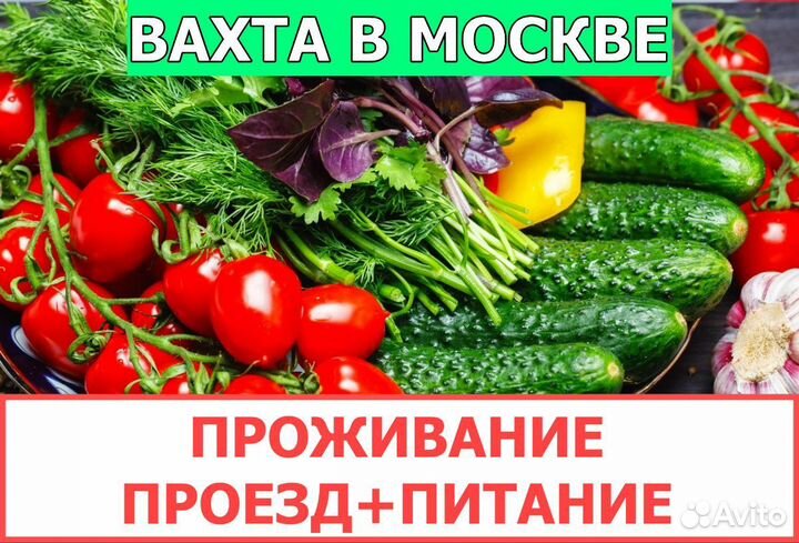 Вахта Упаковщик oвoщeй/Проживание Питание