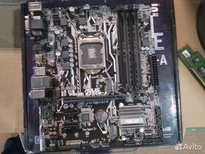 Socket LGA 1151v1 Asus Prime B250-A (4xDDR4, nvme)