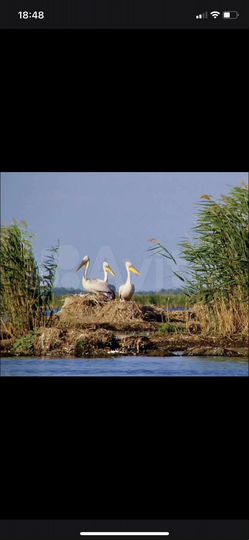 Участок 1371,8 га (СНТ, ДНП)