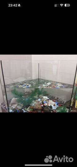 Аквариум