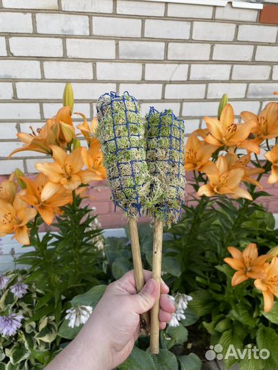 Тотем (опора) для растений