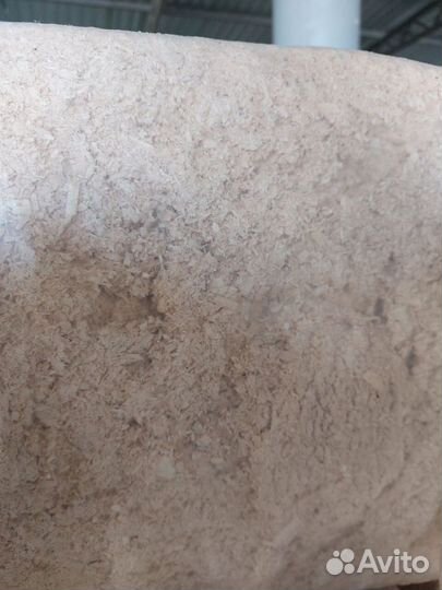 Опилки из липы