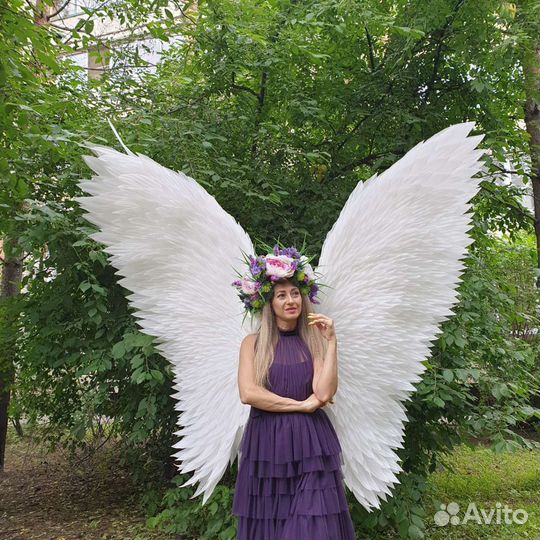 Крылья Ангела аренда