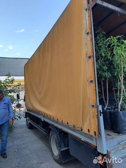 Foton Aumark C3511 шасси, 2007