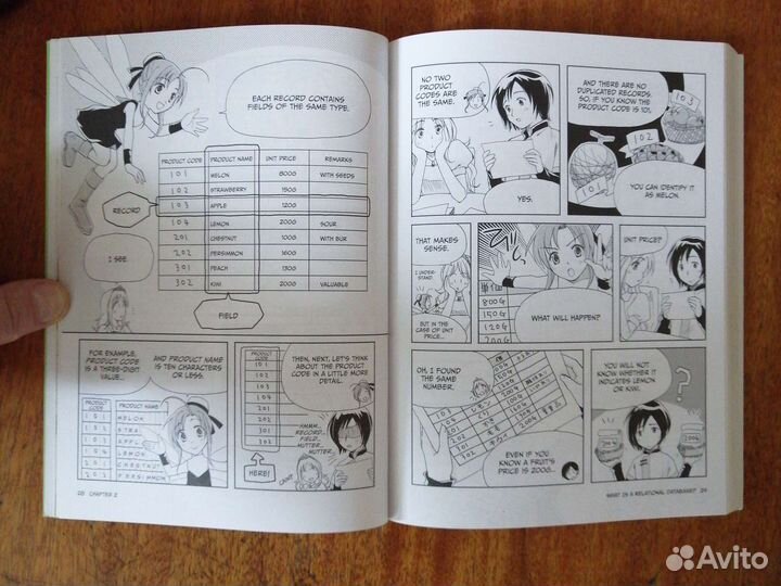 Базы данных в стиле Манга. На англ. языке