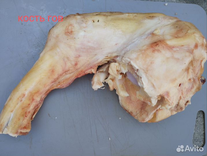 Кости говяжьи