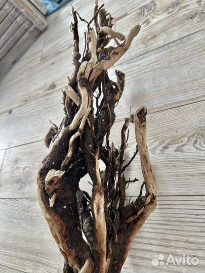 Коряги морские дрифтвуд