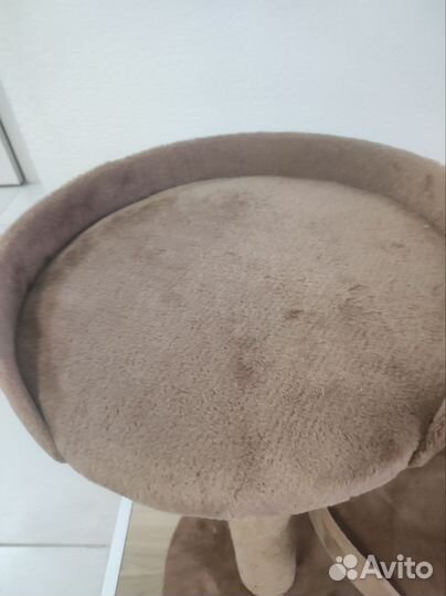 Когтеточка