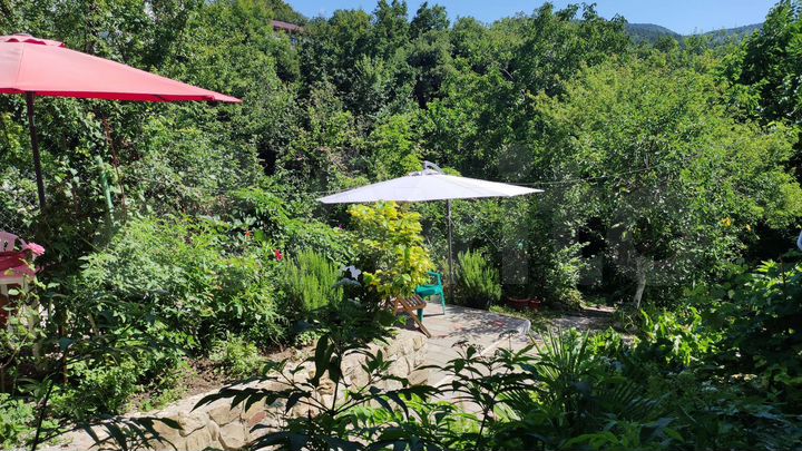 Комната 16 м², 1/2 эт.