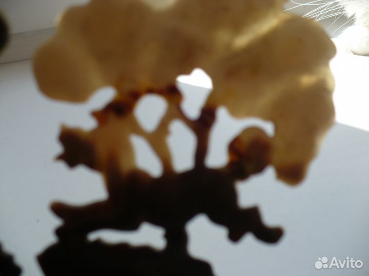 Пепельница из кости. Охота