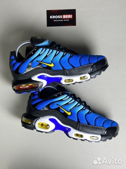 Кроссовки nike air max tn plus