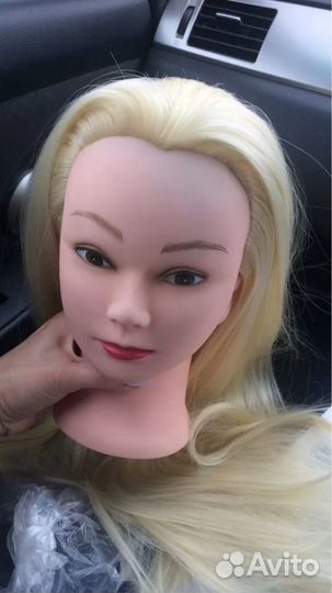 Голова учебная новая